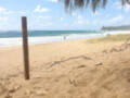 Dicky Beach, QLD 4551